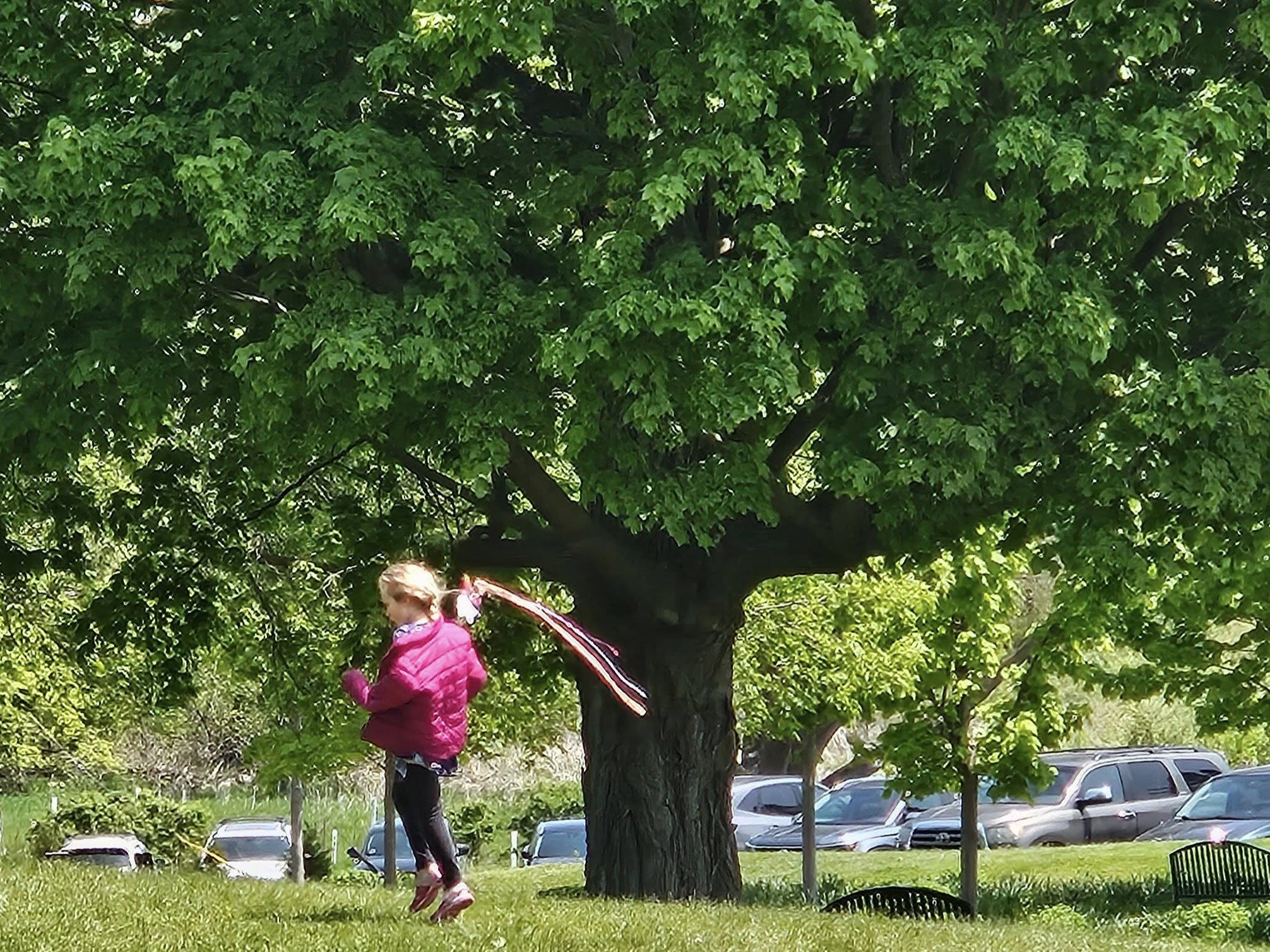 Cute owl made with a pinecone and felt