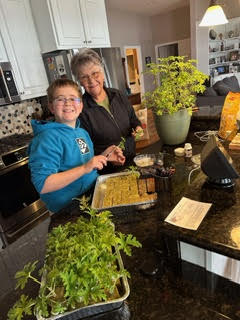 Cute owl made with a pinecone and felt
